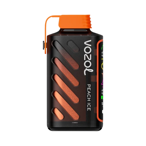 VOZOL Gear Power 20000 | Peach Ice