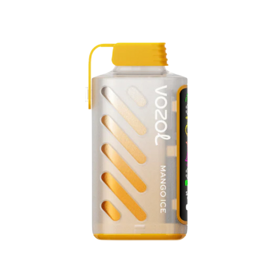VOZOL Gear Power 20000 | Mango Ice