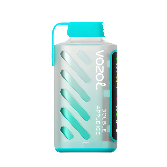 VOZOL Gear Power 20000 | Double Apple Ice