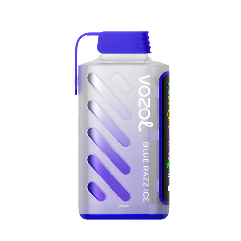 VOZOL Gear Power 20000 | Blue Razz Ice